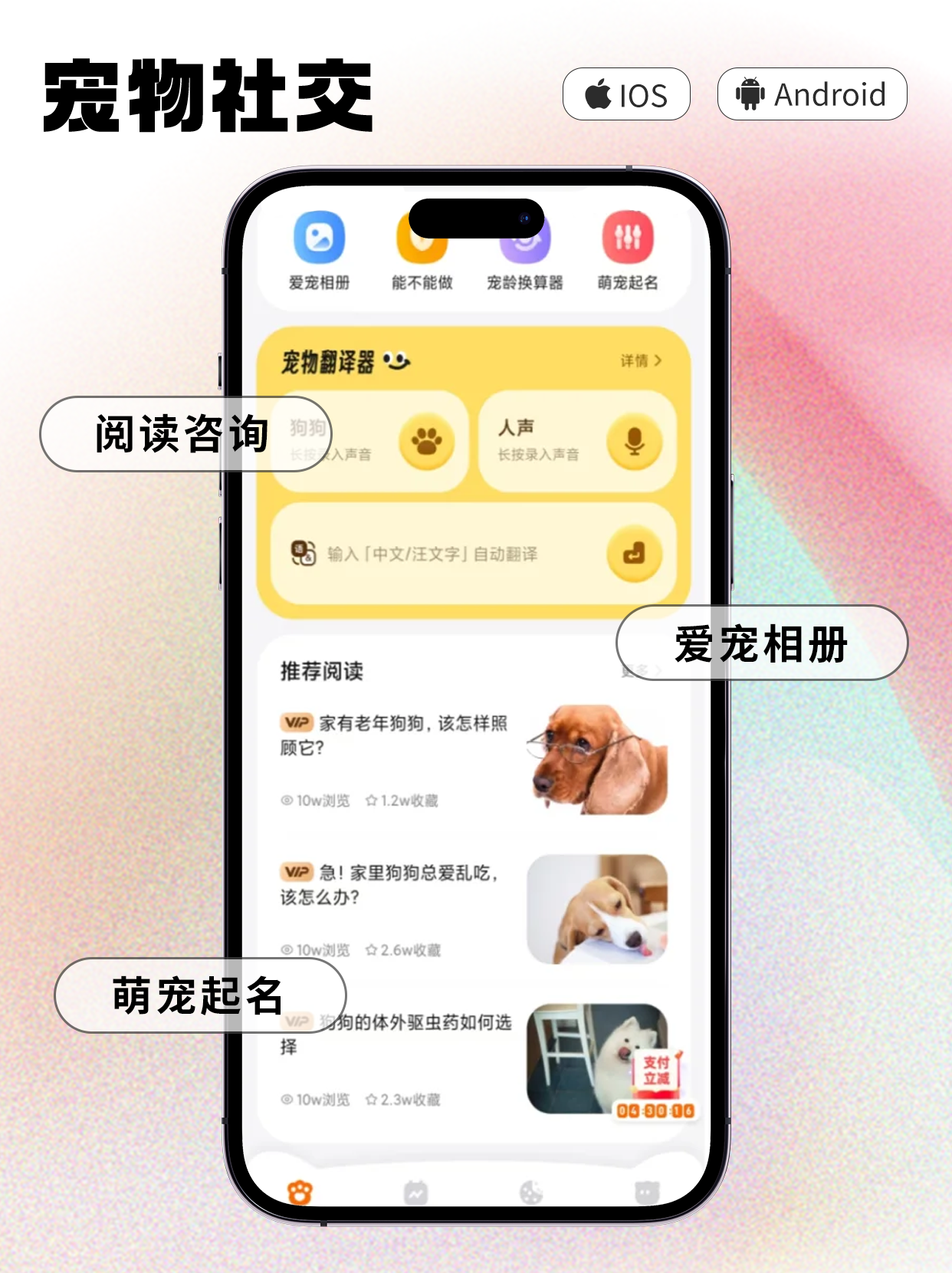 画板 8.png