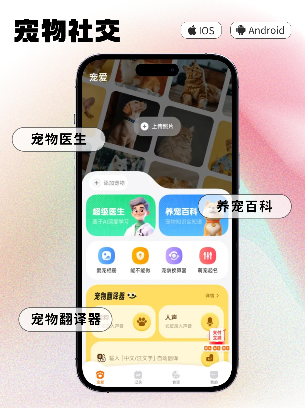 画板 7.png