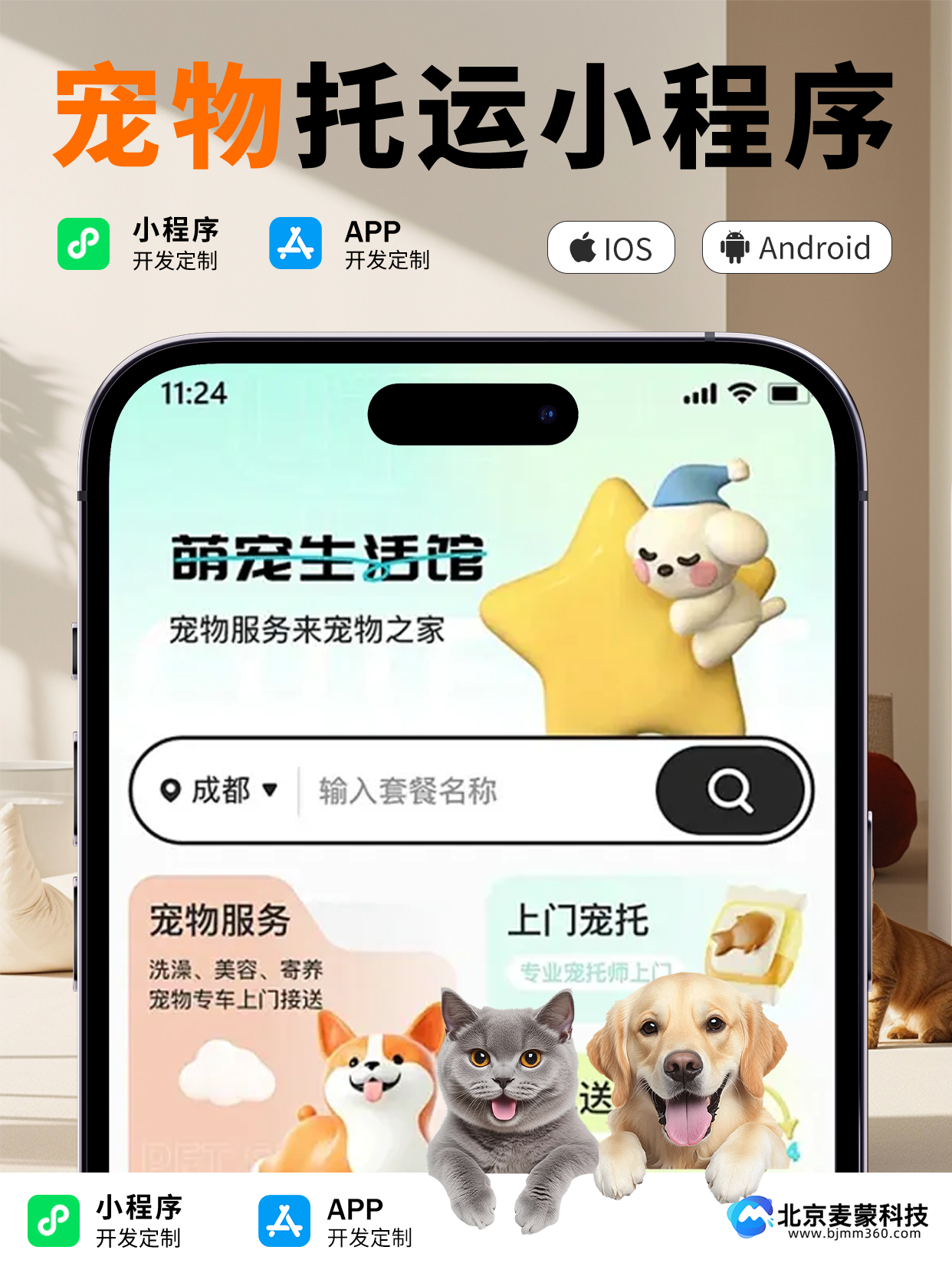 画板 1.png