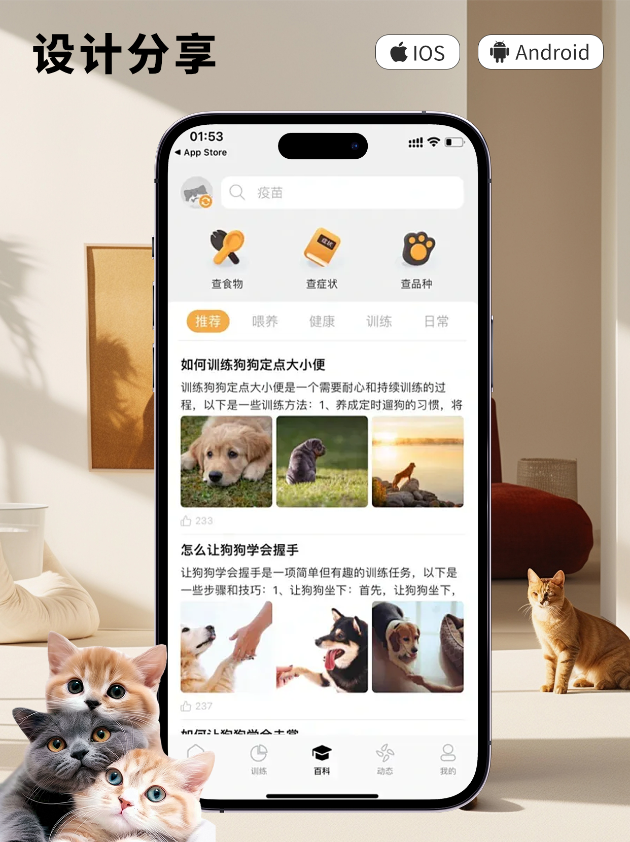 宠物小程序