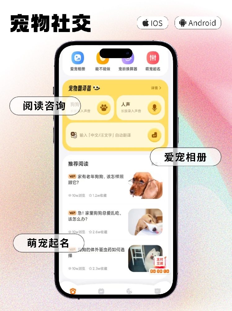 宠物小程序